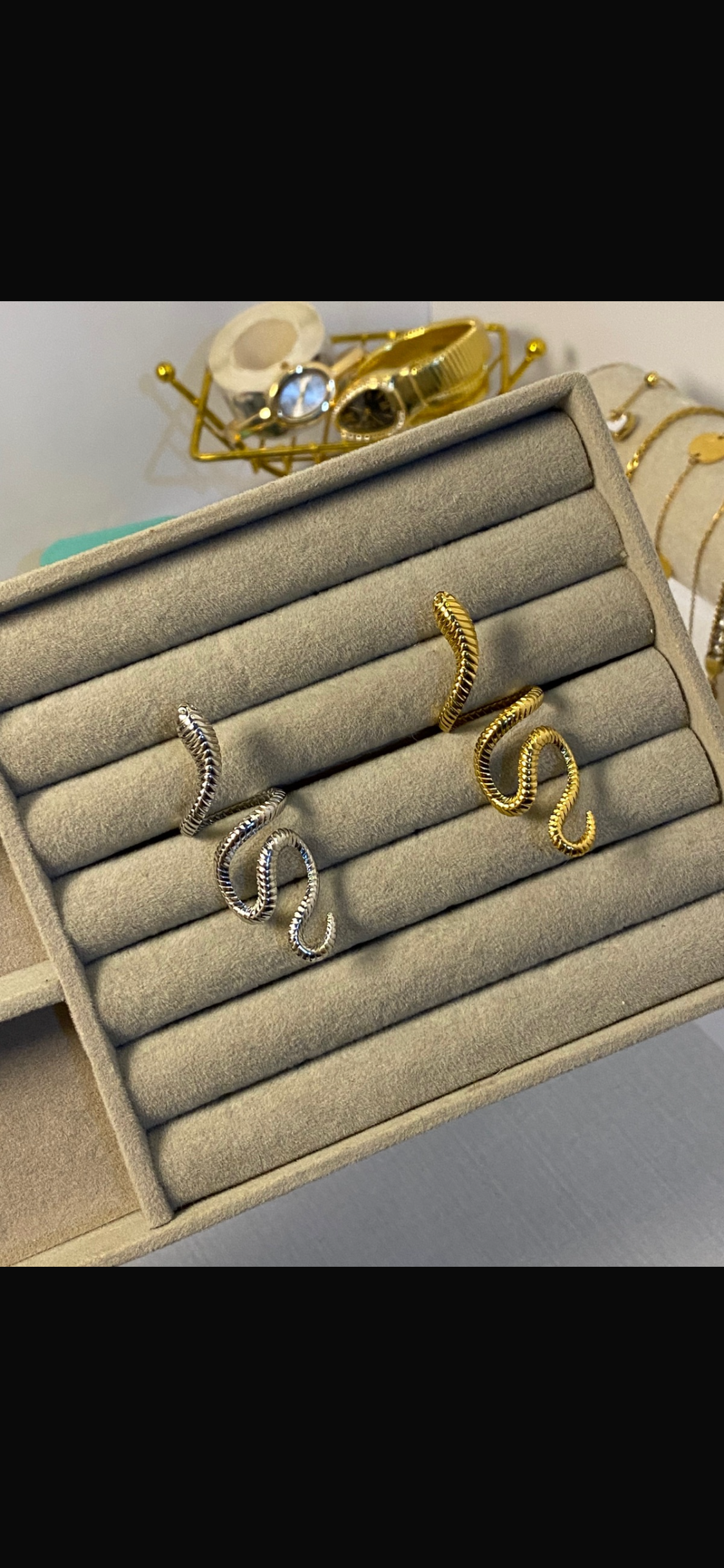 Stainless steel snake rings