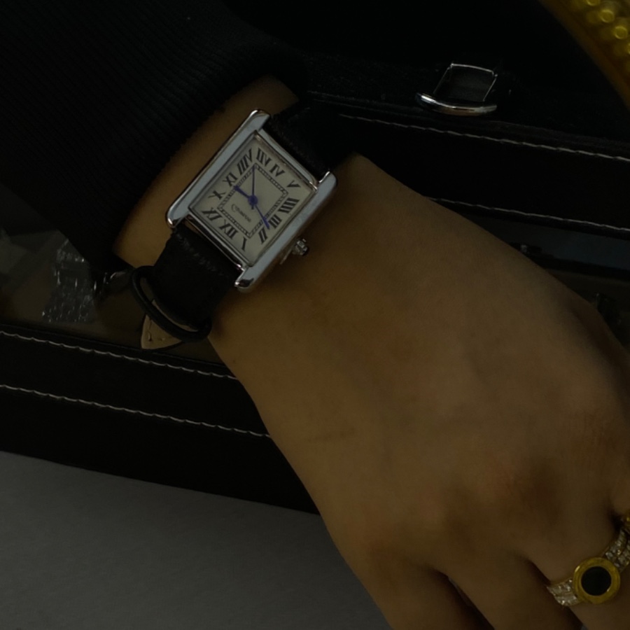 Old money style watch
